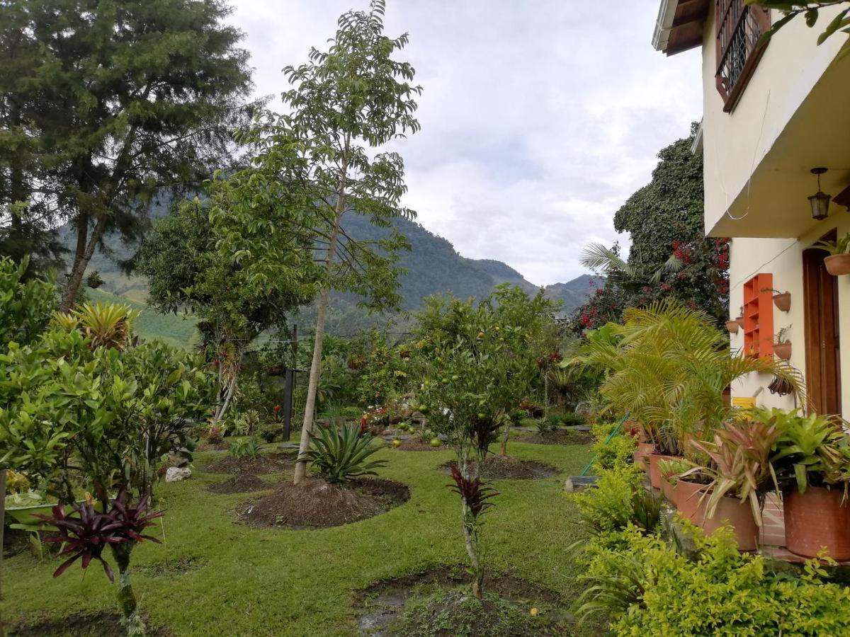Mi Jardin Encantado Jardín Exterior foto